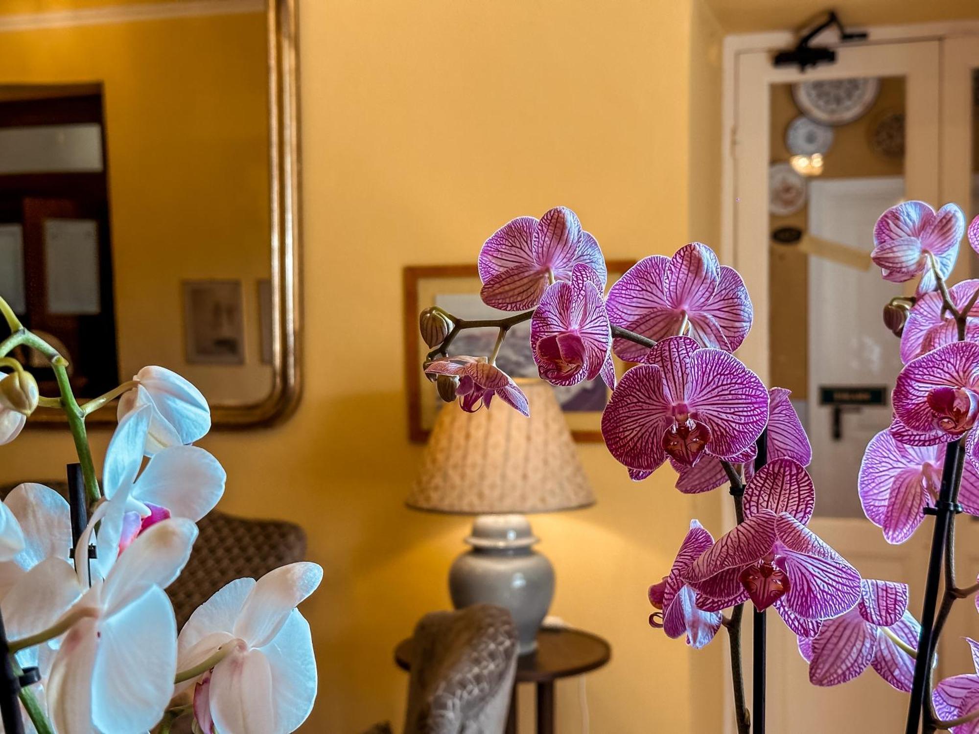 Hotel Villa Anita 산타마르게리타리구레 외부 사진